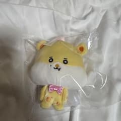超特急 カイ 生誕 ぬいぐるみ カカ ポストカード 超特急「KAI 31st Anniversary SPECIAL GOODS」&生写真セットの受注