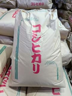 令和8年産　新米　コシヒカリ　玄米　30kg　茨城県産　（鹿嶋市産）　精米無料のサムネイル
