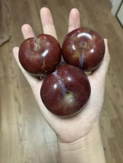 1kgすもものサムネイル