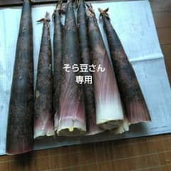 そら豆さん専用　真竹のサムネイル