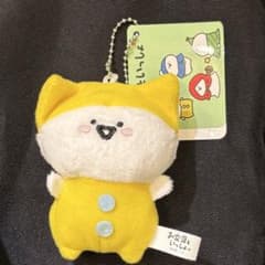 문구와 함께 노란 고양이 프라이즈 경품