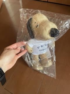 ハワイ限定　すヌーピーのサムネイル