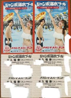 【匿名配送】ナガシマジャンボ海水プール入場券　大人2枚セットのサムネイル