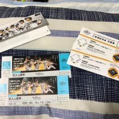 巨人VS阪神 東京ドーム チケット2枚のサムネイル