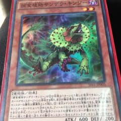 捕食植物 サンデウ キンジーのサムネイル
