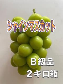 山梨県産　葡萄(シャインマスカット) B級品2キロ箱のサムネイル