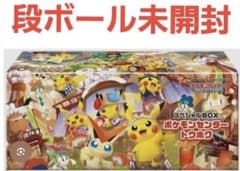 ポケモンセンター トウホク スペシャルBOX ダンボール未開封 - メルカリ