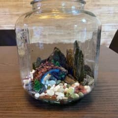 ❗メダカの水槽❗️asu☆asu様❗室内飼育専用№4１❗️苔アート❗️のサムネイル
