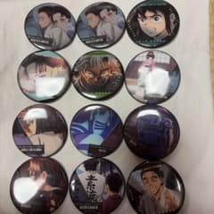 Demon Slayer: Kimetsu no Yaiba Can Badge Set of 12
