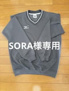 Mizuno グレー Vネック ジャージのサムネイル