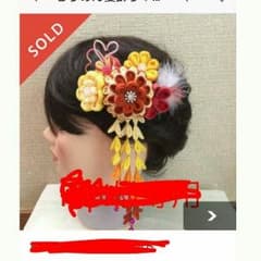 ぴょんきち様確認用のため購入しないで下さいのサムネイル