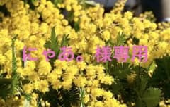 にゃあ。様　専用のサムネイル