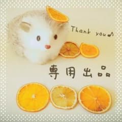 ちゃんぼー様専用のサムネイル