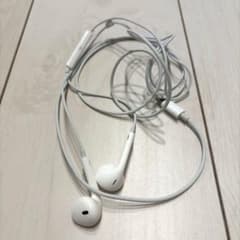 Apple EarPods with Lightning Connectorのサムネイル