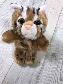 ツシマヤマネコ　ストラップ　キーホルダーのサムネイル