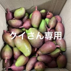 摘果マンゴー2kgのサムネイル