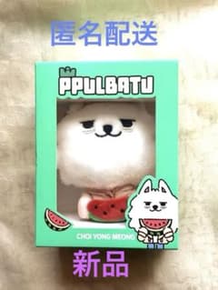 TXT PPULBATU プルバトゥ ヨンモン スビン スイカ キーリング - メルカリ