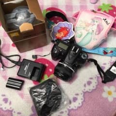 Nikon D7100 最後値下げのサムネイル