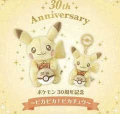 新品 ピカピカ！ ピカチュウ 30周年記念 ぬいぐるみ マスコット 2点セットのサムネイル