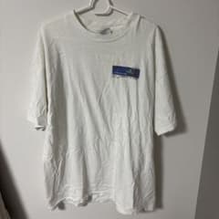 Hanes Beefy-T 美品　archive 00s XLのサムネイル