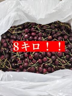 T*o様 アメリカンチェリー 8キロ 11.5R - メルカリ