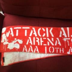 AAAタオル赤のサムネイル
