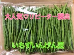 いちずいんげん　約600gのサムネイル