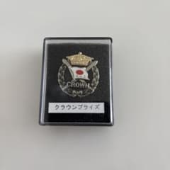 SAJ スキープライズテスト　クラウンプライズ　合格バッジ m22084528072_1.jpg?1774502206
