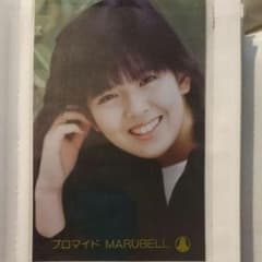 南野陽子 ブロマイドのサムネイル