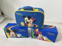 Disney World of English Talkalong Cards