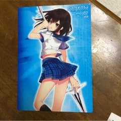 ストライク・ザ・ブラッド下敷きのサムネイル