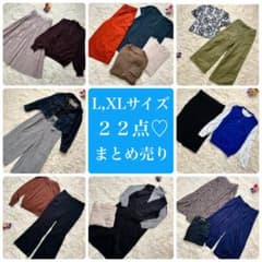 ２２点　レディース　まとめ売り　L XLサイズ　春服　初夏　オフィカジ　通勤