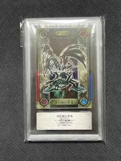 真紅眼の黒竜 シールダス ARS8 レッドアイズブラックドラゴン - メルカリ