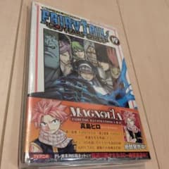 FAIRY TAIL 100 YEARS QUEST(19)のサムネイル