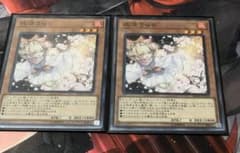 遊戯王 灰流うらら　ノーマル　2枚のサムネイル