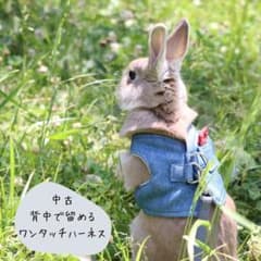 うさぎ用　ハーネス　Mサイズのサムネイル
