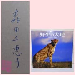希少 サイン本 野生の大地 森田千惠子 写真集 大型本 - メルカリ