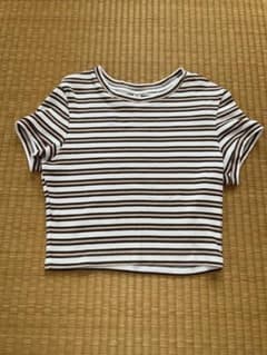 ボーダー 半袖 クロップド丈 カットソーのサムネイル