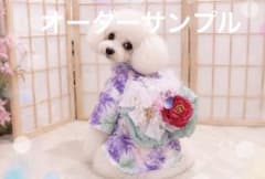 B474.pon2pan2☆犬オーダー☆有松絞り浴衣☆犬浴衣 B474.pon2pan2☆犬オーダー☆有松絞り浴衣☆犬浴衣 - メルカリ
