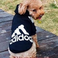 アディドッグ ブラックのサムネイル