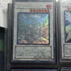 ブラックローズドラゴン ホロのサムネイル