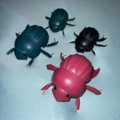 ガシャポンいきもの大図鑑　 【まんまるこがね】　ガチャガチャ 4匹のサムネイル