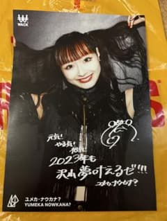 WACK タワレコ スペシャルフライヤー ASP ユメカ・ナウカナ？のサムネイル