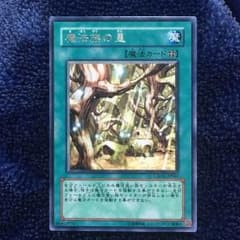 魔法族の里 レア 1枚のサムネイル