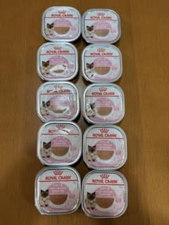【未開封】ロイヤルカナン ベビーキャット ウェット 100g×10個のサムネイル