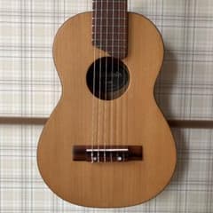 【YAMAHA】GL-1 NTのサムネイル