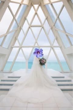 ウェディングベール ロングベール 結婚式 EFV-PEARL (70/230) - メルカリ