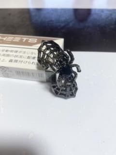 アーマーリング 蜘蛛のサムネイル