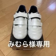 ⭐︎みむら様専用⭐︎アクセレイターBL JR WIDEのサムネイル