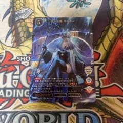 ビルディバイドブライト 冬の玉座 モルガン SSR fgo - メルカリ